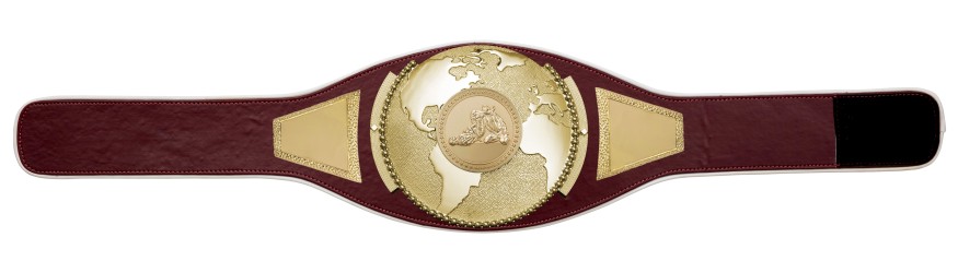 JIU JITSU CHAMPIONSHIP BELT PROGLOBE/G/JIUJITSUG - AVAILABLE IN 6+ COLOURS